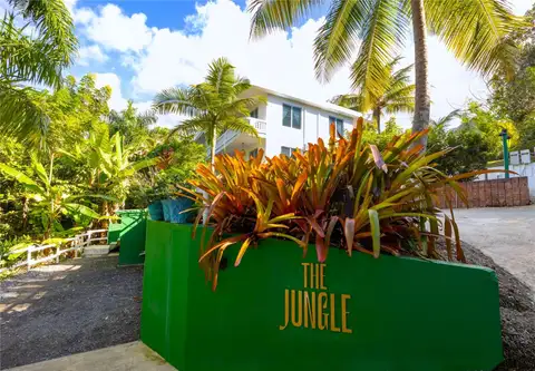 Carr. 413 Int.  Km 4 THE JUNGLE — home for sale